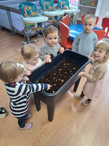 Sadzenie cebulek – mali ogrodnicy